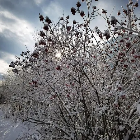 In - Kaernten 53 Lägenhet