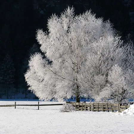 아파트 In Obervellach/kaernten 53