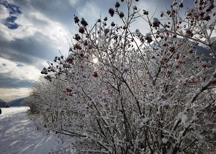 In - Kaernten 53 Apartment