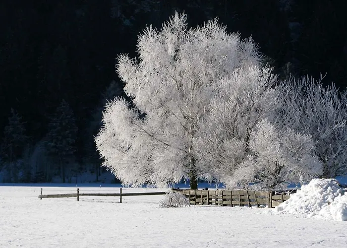 Apartment In - Kaernten 53